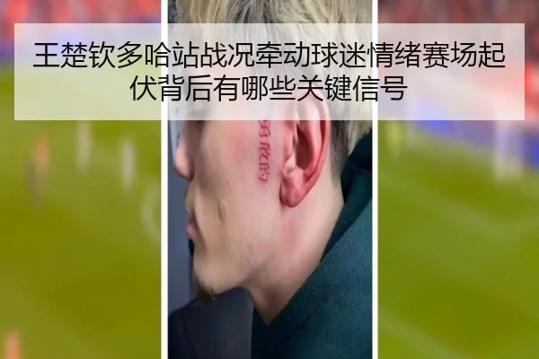 王楚钦多哈站战况牵动球迷情绪赛场起伏背后有哪些关键信号